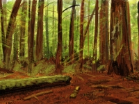 Woodland Speed Painting